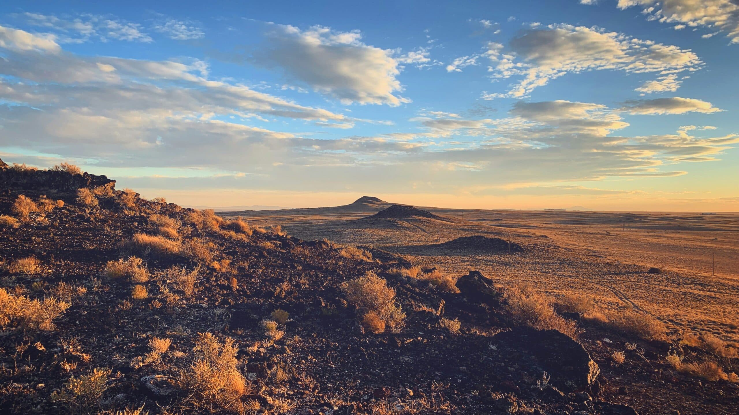 llc new mexico