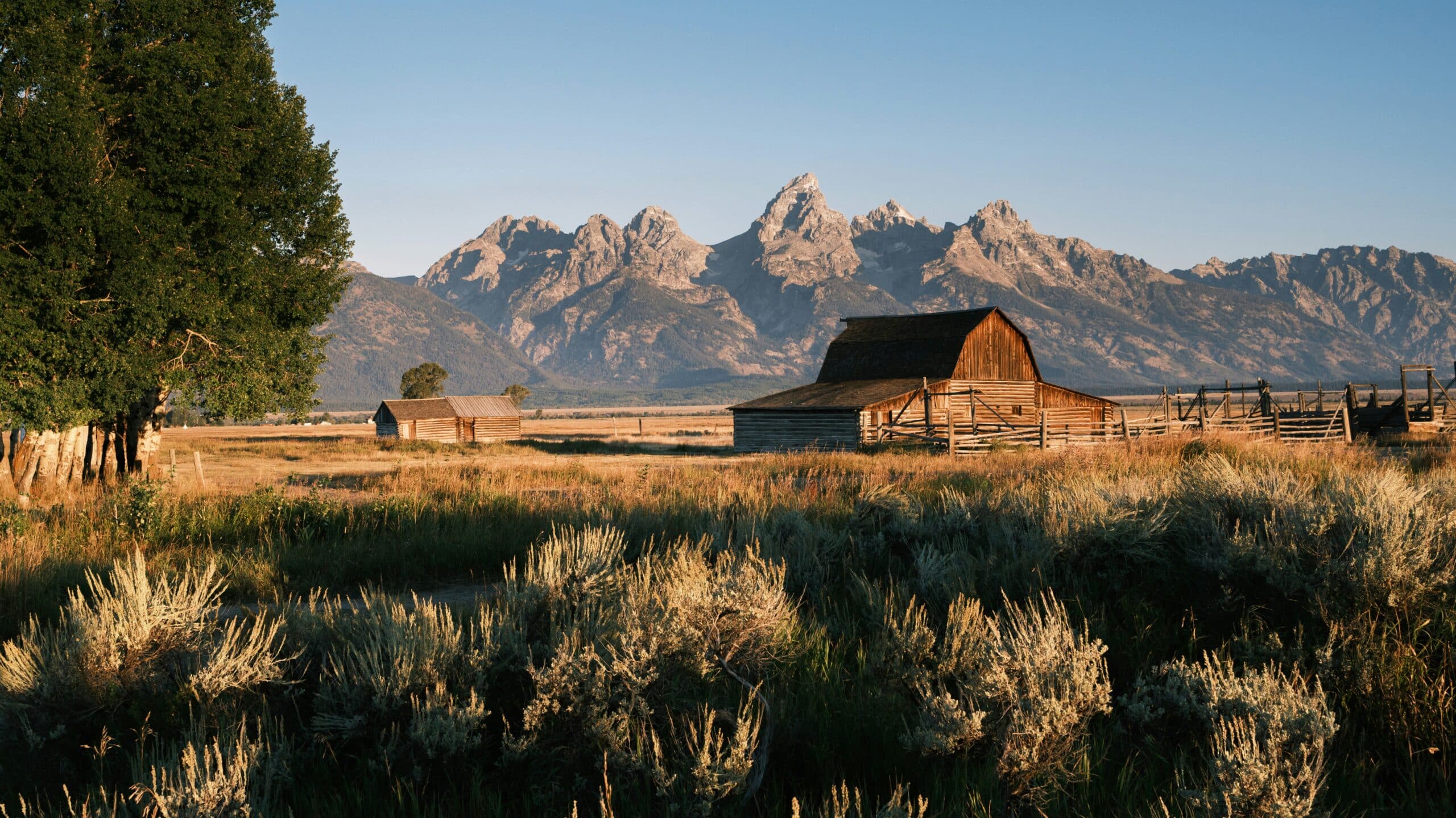 llc wyoming